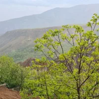 390-متر-زمین-سند-تک-برگ