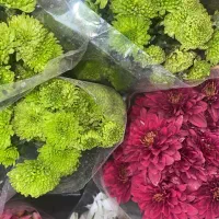 کارت ملی گم کردم