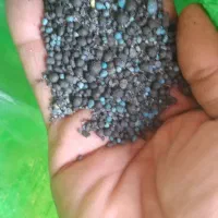 کود سیاه مخصوص کشاورزی‌|گل و گیاه طبیعی|چمران, |دیوار