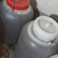 عسل