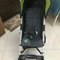 کالاسکه عصایی