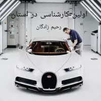 اولین کارشناسی خودرو در استان  رحیم زادگان