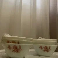 سرویس پذیرایی آرکوپال نو