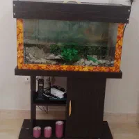 آکواریوم فروشی