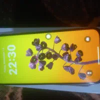 گوشی آیفن ۱۶ نو نو|موبایل|کرج, خرمدشت|دیوار