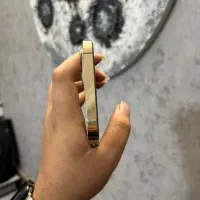 آیفون 12 pro max با حافظه ۲۵۶ گیگ|موبایل|رشت, باهنر|دیوار