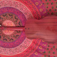 گیتار آکوستیک Eko ایتالیایی|گیتار، بیس، امپلیفایر|اصفهان, جلفا|دیوار