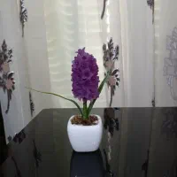 گلدان گل سنبل وگلدان سفالی کوچک نو فقط۲۳۰ت|حراج|شیراز, شهرک مطهری|دیوار