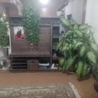 میز تلویزیون در حد نو