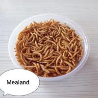 میلورم خشک ۱۰۰ گرمی