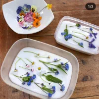 نیوسیل ، سیلیکاژل پودری مخصوص تهیه گل خشک طبیعی