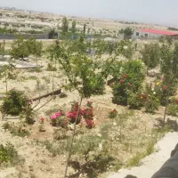 معاوضه باغ سند دار در سهند با آپارتمان و ماشین|فروش خانه و ویلا|سهند, |دیوار