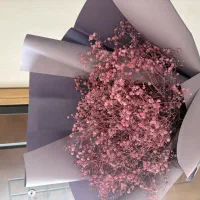 دسته گل بزرگ ژیپسوفیلا|گل و گیاه طبیعی|اصفهان, جوزدان الیادران|دیوار