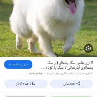 حیوانات