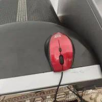 رایانه|رایانه رومیزی|سقز, |دیوار