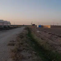 گلخانه فلزی ۴۰۰۰ هزار متر|فروش دفتر صنعتی، کشاورزی، تجاری|شریفآباد, |دیوار