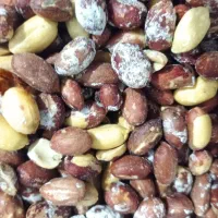 بادام زمینی محلی|خوردنی و آشامیدنی|مینودشت, |دیوار