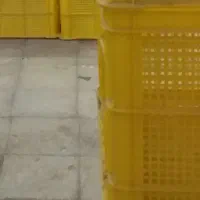 ۸ تا جعبه  دونه ای ۱۶۰۰