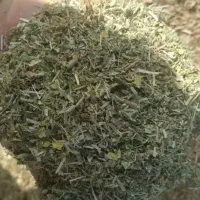 کاه ماش
