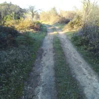 زمین باغی باویوی بینظیر در روستای توریستی سرچشمه|فروش زمین و ملک کلنگی|لاهیجان, لیل|دیوار
