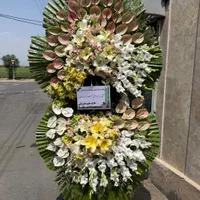 عرضه مستقیم تاج گل از بازار گل|گل و گیاه طبیعی|ری, شهید غیوری (ابن باویه)|دیوار