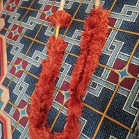 نی قلیون نو|زیورآلات و اکسسوری|شیراز, سهلآباد|دیوار