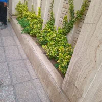 خدمات باغبانی باغچه کاری تعویضی خاک باغچه کاشت|خدمات باغبانی و درختکاری|تهران, هروی|دیوار