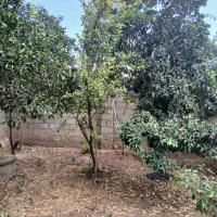 خانه ویلایی قدیمی رودسر