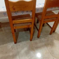 تعداد میز و صندلی رستوان