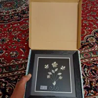 قاب نقره کاری