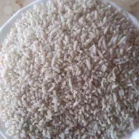 برنج ولاشه طارم هاشمی|خوردنی و آشامیدنی|بابکان, |دیوار