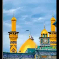 هتل های درجه یک&) همراه باترانسفر