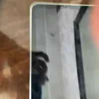 ipad a16|تبلت|تبریز, |دیوار