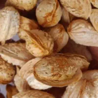 بادام آجیلی  کاغذی کاغذی محصول خودمان