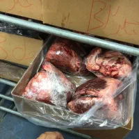 جگر گاو|خوردنی و آشامیدنی|رشت, پستک|دیوار