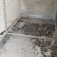 قفس|پرنده|پاکدشت, پاکدشت (مامازند)|دیوار