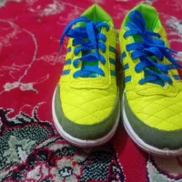 با سلام یک جفت کفش سالن نو نو سایز ۳۷