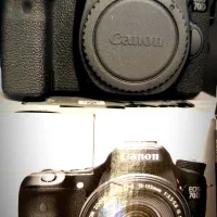 دوربین عکاسی|دوربین عکاسی و فیلم‌برداری|شیراز, کیان شهر|دیوار