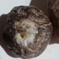 شهاب سنگ وکلسیونی|کلکسیون و سرگرمی|درگزین, |دیوار