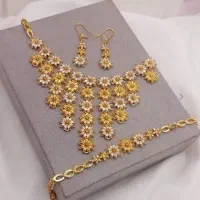 سرویس دستساز وبرند|بدلیجات|اردکان, |دیوار