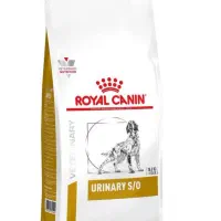 مدیوم پاپی رویال کنین|لوازم جانبی حیوانات|تهران, گلستان (شهرک راه آهن)|دیوار