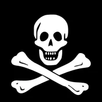 مدل جمجمه سایز واقعی