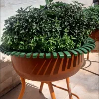 با سلام تعدادی گلدان در طرح های مختلف زیبا وجذاب|صنایع دستی و سایر لوازم تزئینی|محلات, |دیوار