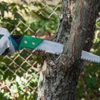 چوب  و هرس|خدمات باغبانی و درختکاری|دورود, |دیوار