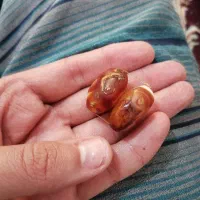 یک جفت مهره کهنه