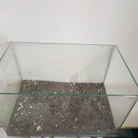 آکواریوم شیشه خم|ماهی|اصفهان, قائمیه|دیوار