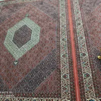 فرش بیجار توش مشهد|فرش|زنجان, |دیوار