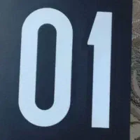 گوشی وکال v01