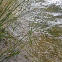 نیاز ب راهنمایی دارم