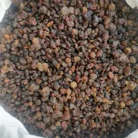 کشمش|خوردنی و آشامیدنی|سنندج, |دیوار